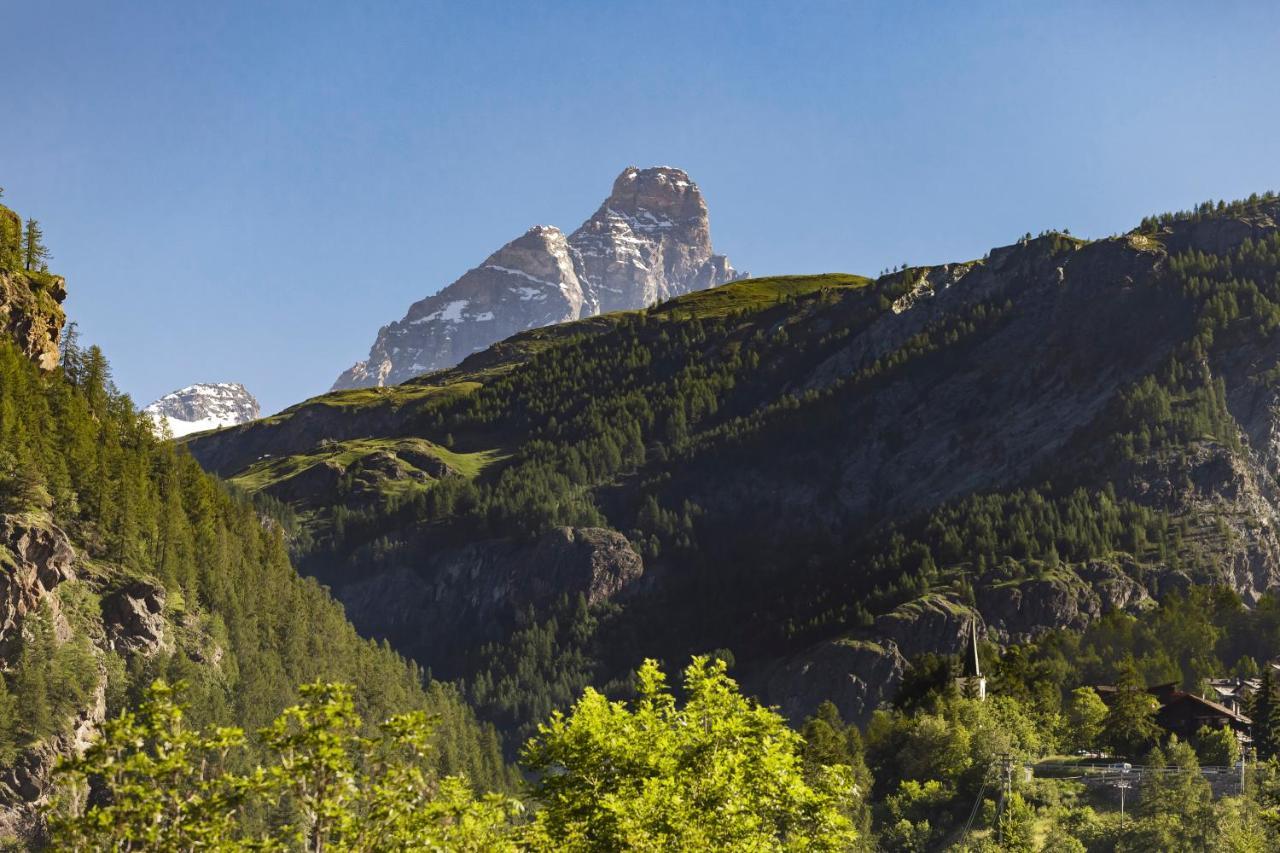 Hellochalet - Maison Rue De La Neige - Family Ski Holiday Walking Distance Skirun And Gondola Valtournenche Εξωτερικό φωτογραφία