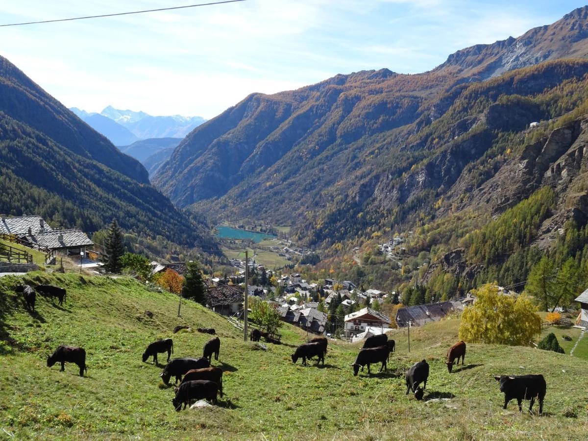 Hellochalet - Maison Rue De La Neige - Family Ski Holiday Walking Distance Skirun And Gondola Valtournenche Εξωτερικό φωτογραφία